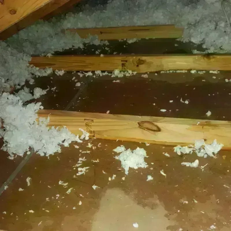 Attic Water Damage in Lacombe, LA